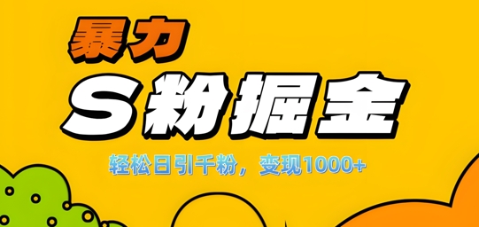 单人单机日引千粉，变现1k+，S粉流量掘金计划攻略【揭秘】-康仁安网创