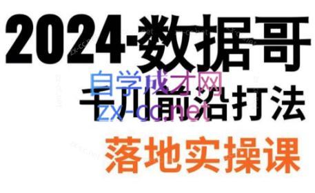 数据哥·2024年千川前沿打法落地实操课-康仁安网创