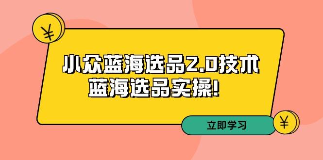 拼多多培训第33期：小众蓝海选品2.0技术-蓝海选品实操！-康仁安网创
