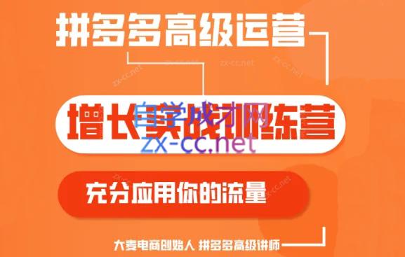 大麦老师·拼多多单品爆款打造课程(更新6月)-康仁安网创