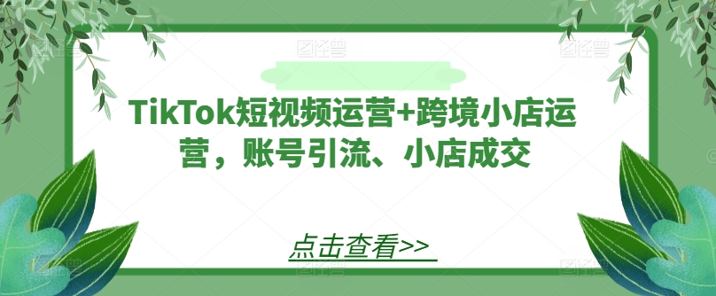 TikTok短视频运营+跨境小店运营,账号引流、小店成交-康仁安网创