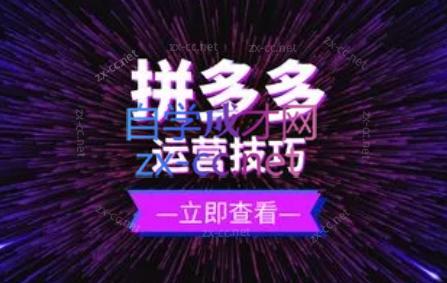 力辛电商·拼多多强付费店群玩法-康仁安网创