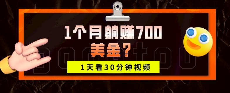 1天看30分钟视频,1个月躺赚700美金?-康仁安网创