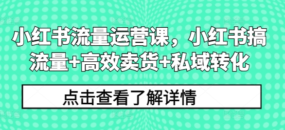 小红书流量运营课，小红书搞流量+高效卖货+私域转化-康仁安网创