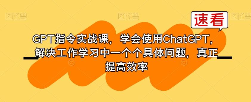 GPT指令实战课,学会使用ChatGPT,解决工作学习中一个个具体问题,真正提高效率-康仁安网创