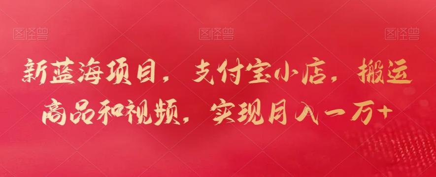 新蓝海项目，支付宝小店，搬运商品和视频，实现月入一万+【揭秘】-康仁安网创