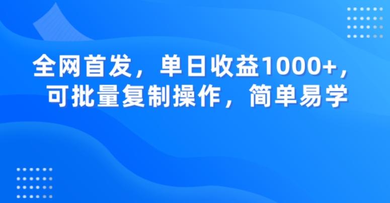全网首发，单日收益1000+，可批量复制操作，简单易学【揭秘】-康仁安网创