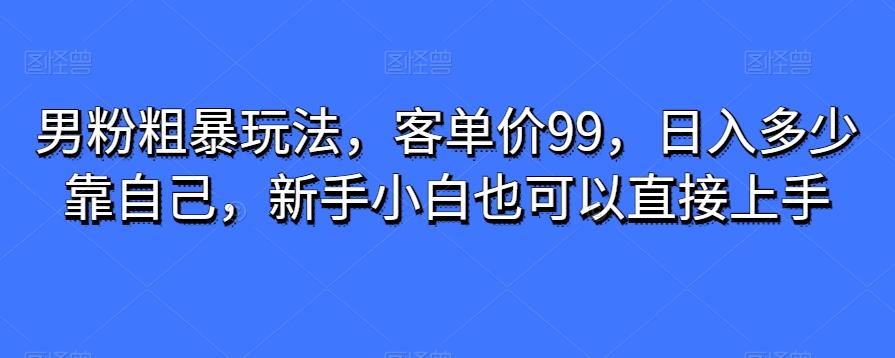 男粉粗暴玩法,客单价99,日入多少靠自己,新手小白也可以直接上手-康仁安网创