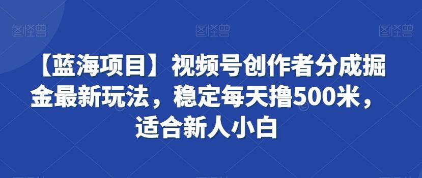 【蓝海项目】视频号创作者分成掘金最新玩法，稳定每天撸500米，适合新人小白【揭秘】-康仁安网创