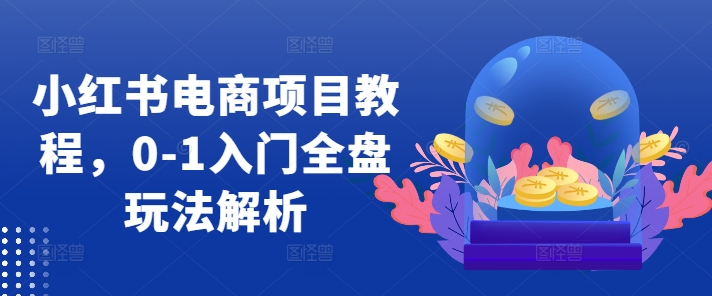 小红书电商项目教程，0-1入门全盘玩法解析-康仁安网创