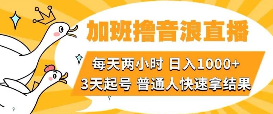 加班撸音浪直播，每天两小时，日入1000+，直播话术才3句，3天起号，普通人快速拿结果【揭秘】-康仁安网创