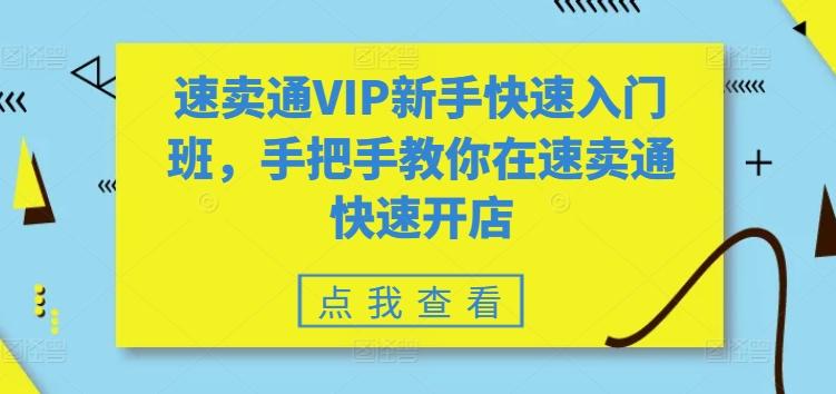 速卖通VIP新手快速入门班,手把手教你在速卖通快速开店-康仁安网创