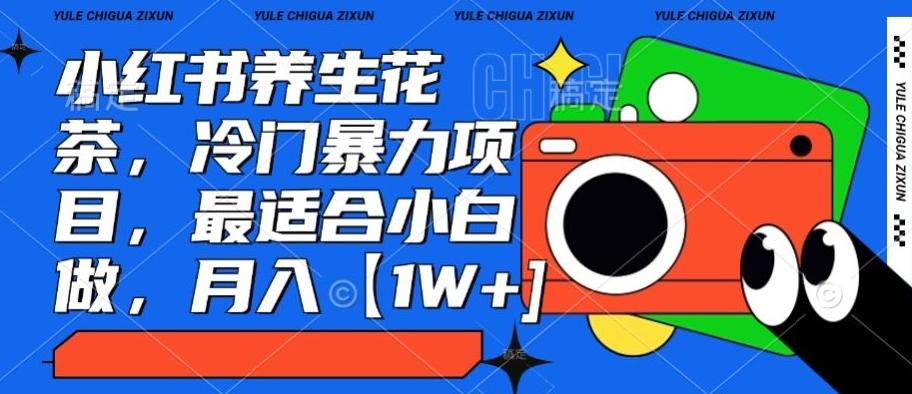 小红书养生花茶，冷门暴力项目，最适合小白做，月入【1W+】-康仁安网创
