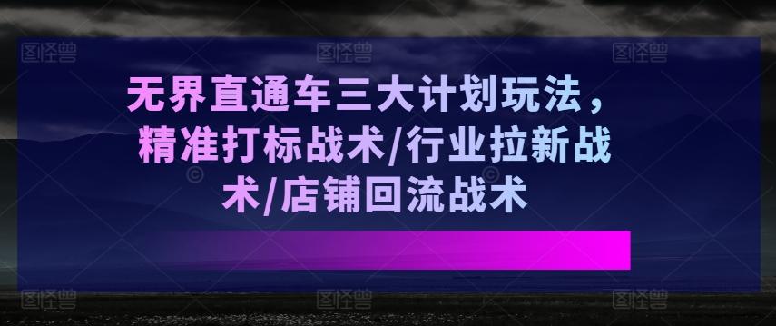 无界直通车三大计划玩法,精准打标战术/行业拉新战术/店铺回流战术-康仁安网创