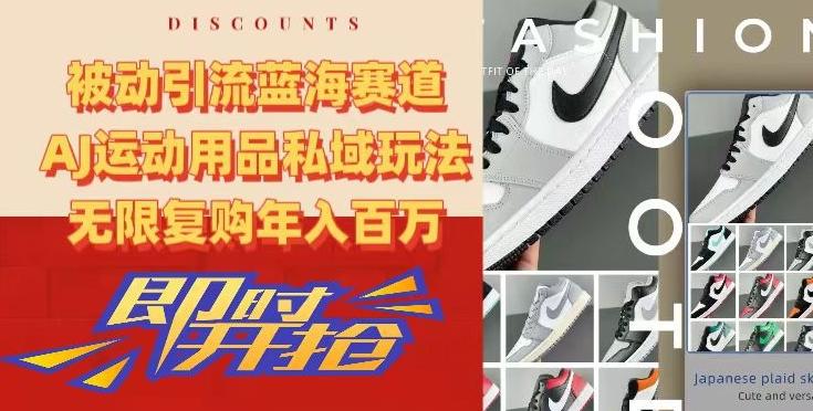 被动引流蓝海赛道，AJ运动用品私域玩法，无限复购年入百万【揭秘】-康仁安网创
