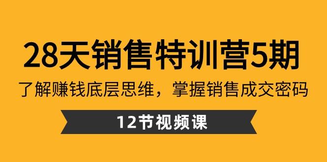 28天销售特训营5期：了解赚钱底层思维，掌握销售成交密码（12节课）-康仁安网创