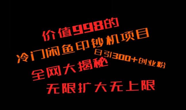 闲鱼流量印钞机项目大揭秘，日引300+创业粉，保姆级实操教程-康仁安网创