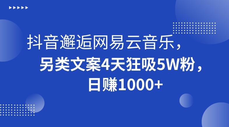 抖音邂逅网易云音乐，另类文案4天狂吸5W粉，日赚1000+【揭秘】-康仁安网创