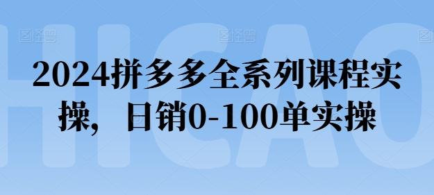 2024拼多多全系列课程实操,日销0-100单实操【必看】-康仁安网创
