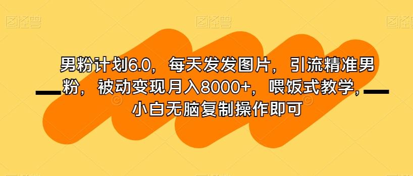男粉计划6.0，每天发发图片，引流精准男粉，被动变现月入8000+，喂饭式教学，小白无脑复制操作即可-康仁安网创