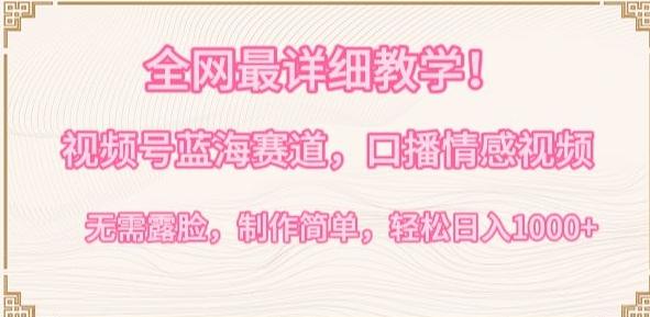 全网最详细教学，视频号蓝海赛道，口播情感视频，无需露脸，制作简单，轻松实现日入1000+【揭秘】-康仁安网创