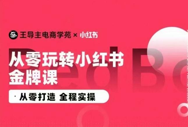 王导主·小红书电商运营实操课,从零打造 全程实操-康仁安网创