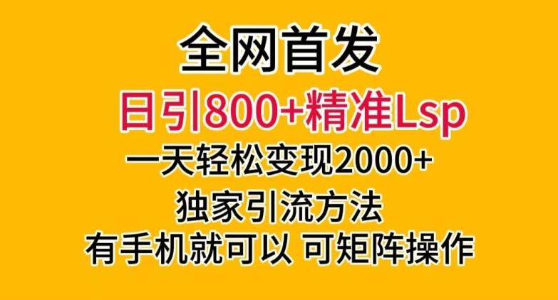 全网首发！日引800+精准老色批，一天变现2000+，独家引流方法，可矩阵操作【揭秘】-康仁安网创