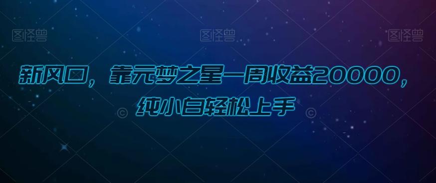 新风口，靠元梦之星一周收益20000，纯小白轻松上手-康仁安网创