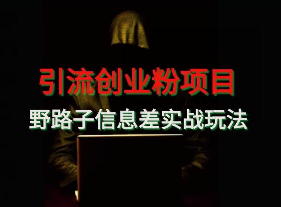 【引流创业粉】野路子信息差玩法实战教学-康仁安网创