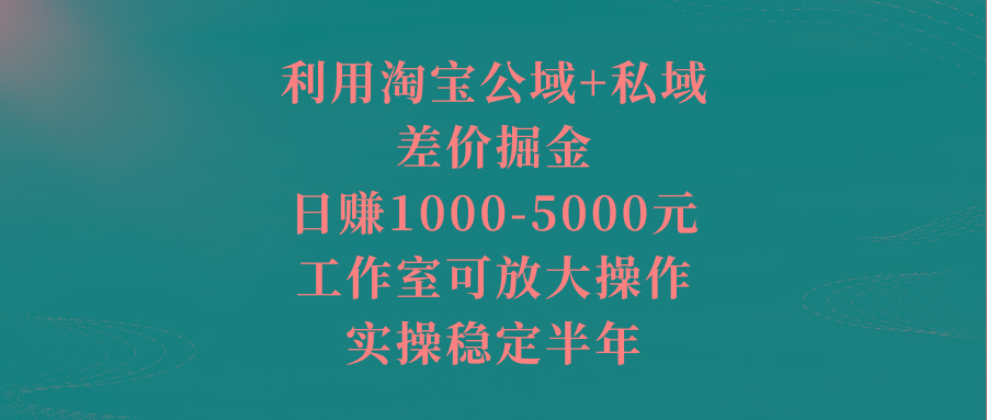 利用淘宝公域+私域差价掘金，日赚1000-5000元，工作室可放大操作，实操...-康仁安网创