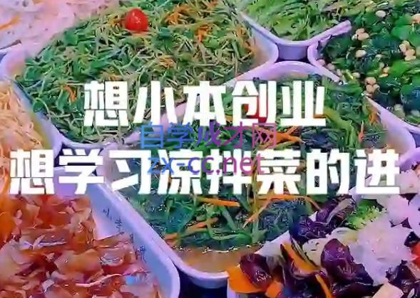 李记·精品凉拌菜系列热卤系列教程-康仁安网创