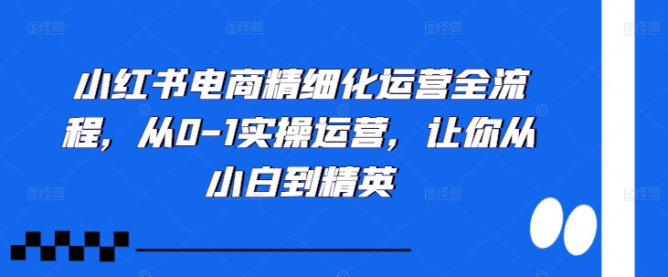 小红书电商精细化运营全流程,从0-1实操运营,让你从小白到精英-康仁安网创