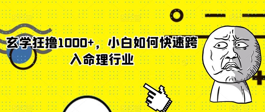 玄学狂撸1000+,小白如何快速跨入命理行业-康仁安网创