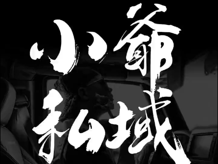 小爷·私域项目操盘手-康仁安网创