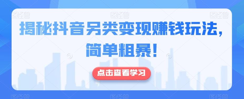 揭秘抖音另类变现赚钱玩法,简单粗暴!-康仁安网创