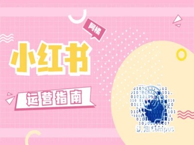 小红书运营指南,没有套路,全是经验-康仁安网创
