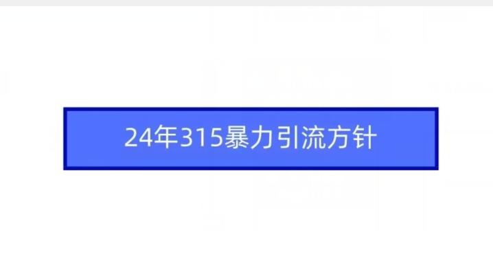 24年315暴力引流方针-康仁安网创