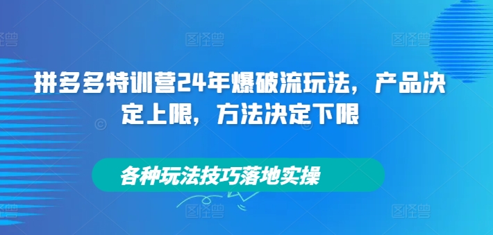 拼多多特训营24年爆破流玩法,产品决定上限,方法决定下限,各种玩法技巧落地实操-康仁安网创
