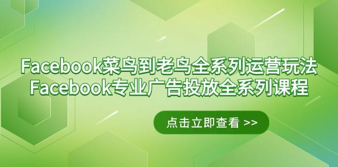 Facebook-菜鸟到老鸟全系列运营玩法+Facebook-专业广告投放全系列课程-康仁安网创
