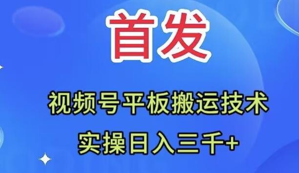 全网首发：视频号平板搬运技术，实操日入三千＋-康仁安网创