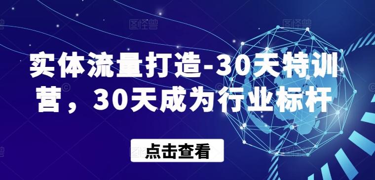 实体流量打造-30天特训营,30天成为行业标杆-康仁安网创