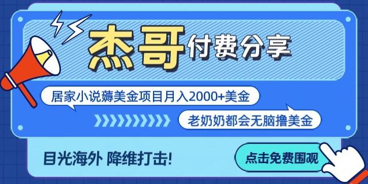 拆解海外撸美金项目月入2000美刀详细指导-康仁安网创