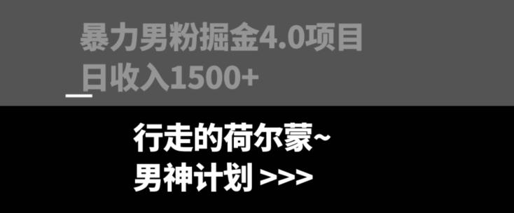 暴力男粉掘金4.0项目不违规不封号无脑复制单人操作日入1000+-康仁安网创
