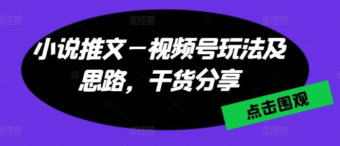 小说推文—视频号玩法及思路,干货分享-康仁安网创