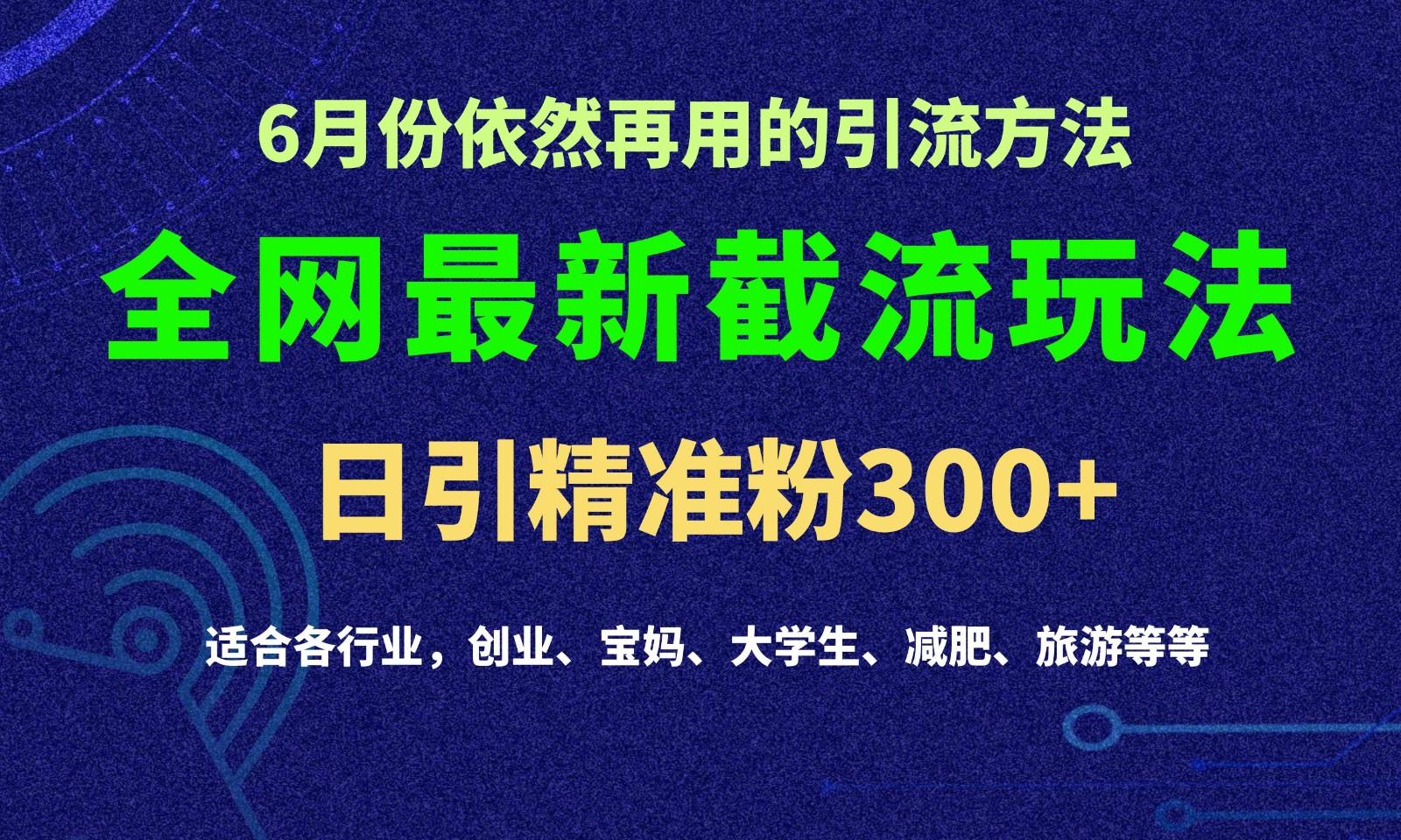 2024全网最新截留玩法,每日引流突破300+-康仁安网创