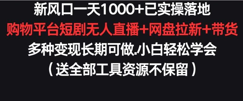 新风口一天1000+已实操落地购物平台短剧无人直播+网盘拉新+带货多种变现长期可做【揭秘】-康仁安网创