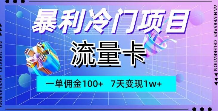 暴利冷门项目，流量卡，一单佣金100+，7天变现1w+-康仁安网创