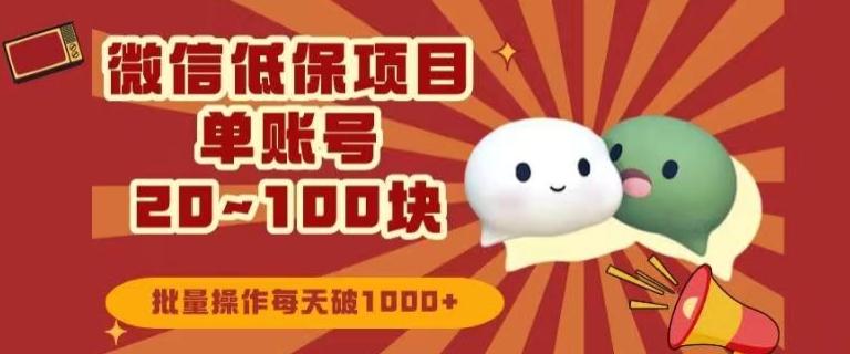 微信领低保单账号20元-100元，批量操作每天破1000+-康仁安网创