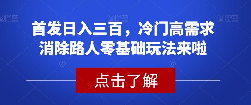 首发日入三百,冷门高需求消除路人零基础玩法来啦【揭秘】-康仁安网创