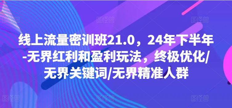 线上流量密训班21.0,24年下半年-无界红利和盈利玩法,终极优化/无界关键词/无界精准人群-康仁安网创